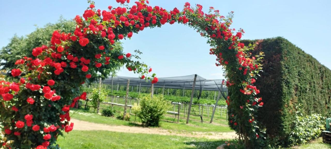 Agriturismo Fondo Novelle La Casina Ferrara Kültér fotó