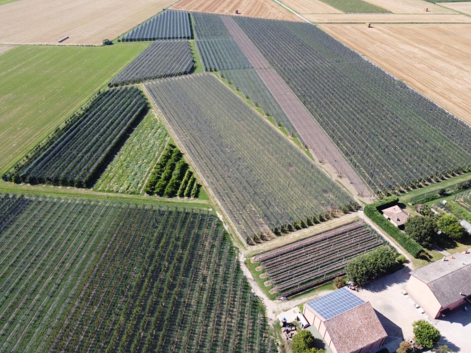Agriturismo Fondo Novelle La Casina Ferrara Kültér fotó