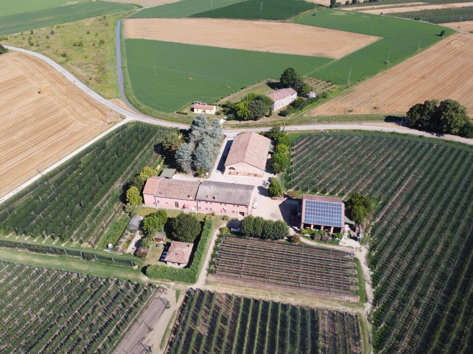 Agriturismo Fondo Novelle La Casina Ferrara Kültér fotó